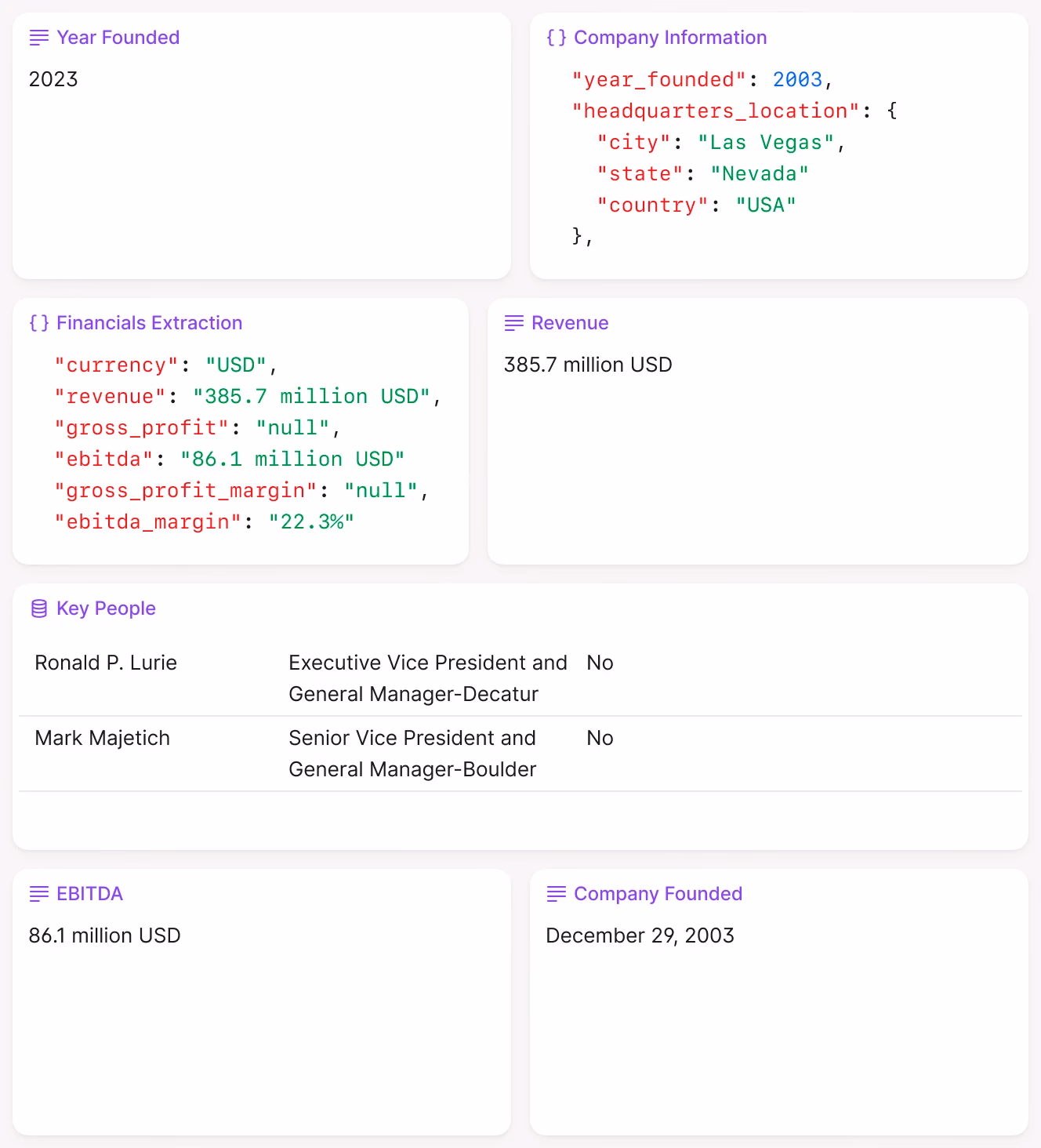 AI financial data extraction organizes key company details, including revenue, EBITDA, and executive leadership