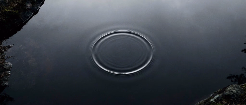 Circular ripples on dark water surface