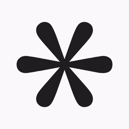 Black asterisk symbol on white background