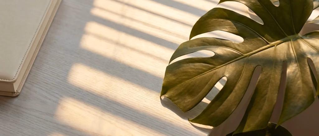 Monstera leaf and beige notebook with blinds shadow