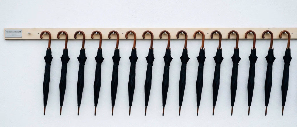 Black umbrellas with wooden handles on a rack.