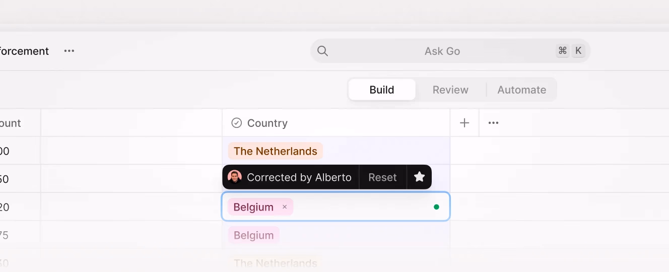 AI data validation interface showing automated correction of country names in a spreadsheet with highlighted changes