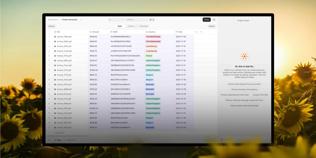 Invoice extraction table with file names, amounts, IBANs, countries, and dates.